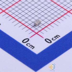 C1608NP0829DGTS