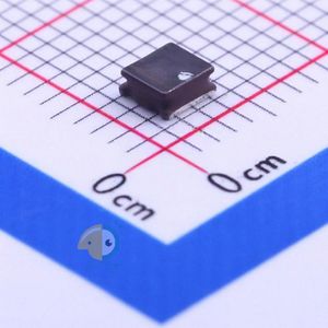 LQH3NPN100NM0L/BKN