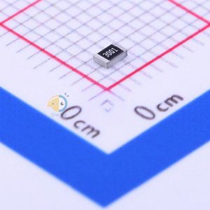 FH (Guangdong Fenghua Advanced Tech) TD05H3001DT