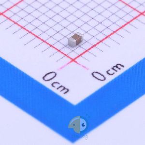 CL10B102KB8WPNC