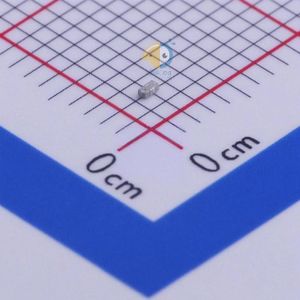 RBBPF1005040A1T