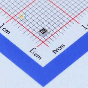 RALEC RTT053301FTP