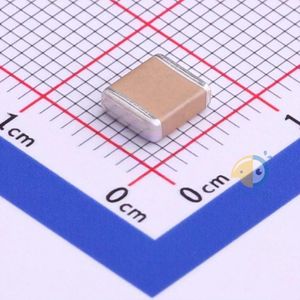 FV55X472K202EFG