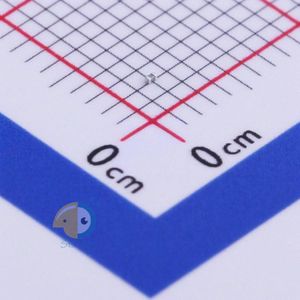 CC0201BRNPO9BN2R2