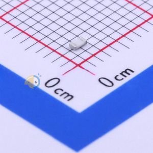 WF06H1003DTL
