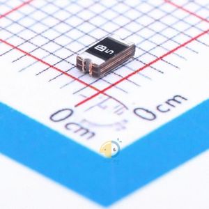 SMD1206B050TF/15