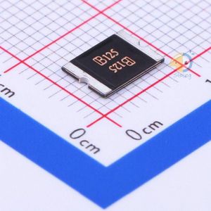SMD2920B125TF