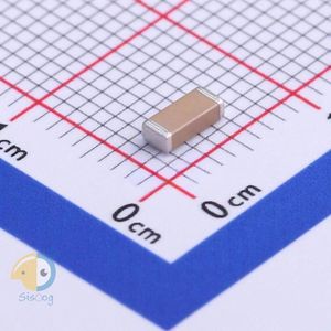 FV42X102K202ECG