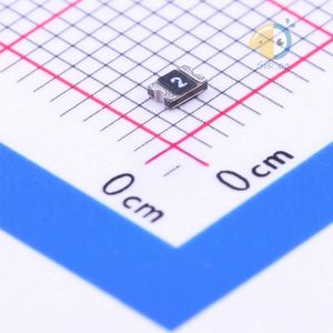 SMD0805B020TF