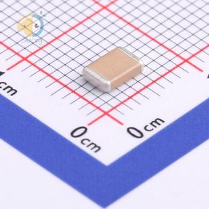 FV43X681K202ECG