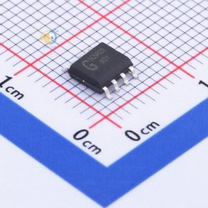 GoChip Elec Tech (Shanghai) GC54123P-A2