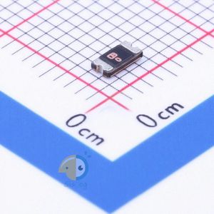 SMD1206B010TF