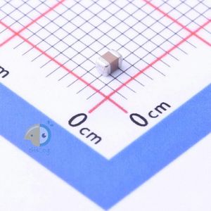 FM21X334K101ECG