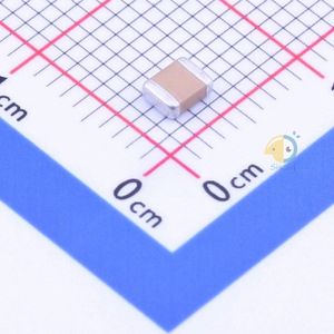 FM32X223K501ECG