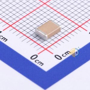 FV43X682K102ECG