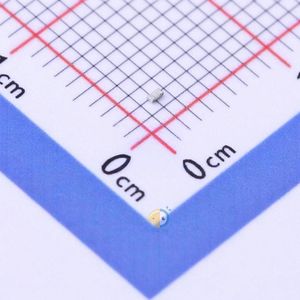 RT0402FRE07100RL