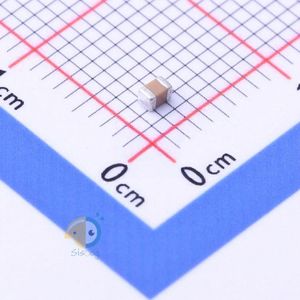 FP21X222K500ECG