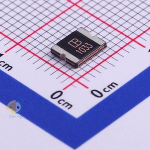 SMD2016B100TF/33