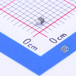 0603X106M100CT
