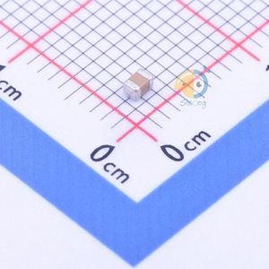 FP21X102K500ECG