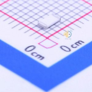 RTT0610R2FTP
