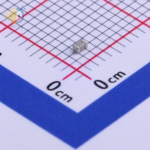 C1608NP0689DGTS