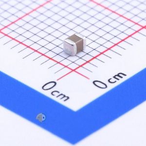 Walsin Tech Corp 0805F106Z100CT