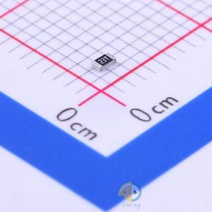 RTT031R69FTP