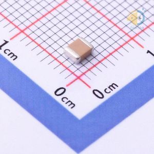 FM32X223M501ECG