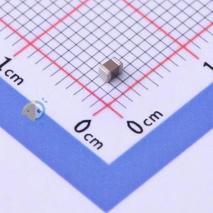 Samsung Electro-Mechanics CL21Y106KQQVPNE