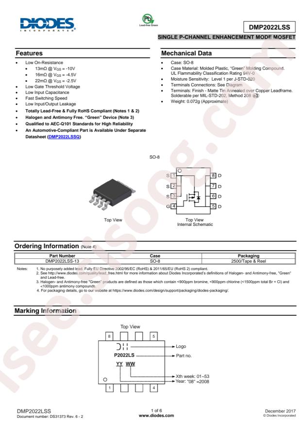 DMP2022LSS-13