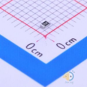 RMS06FT1101