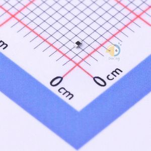 RCS040220R0FKED