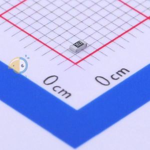 WF06H3002DTL