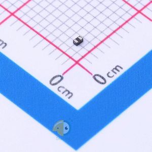 AU0561P1