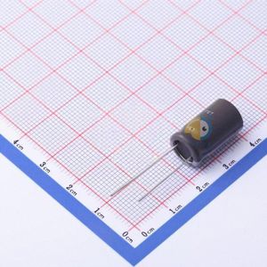 ECH1KM101G17OTZO