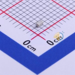 C1608NP0569DGTS