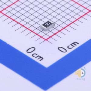 ERJP06J101V