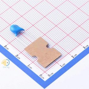 YP1AC221K060BAFIMW