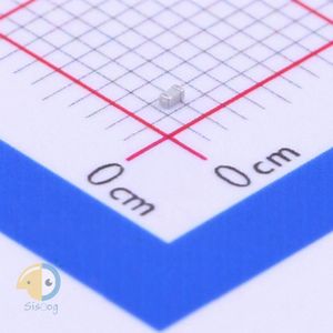 C1005NP0339CGTS