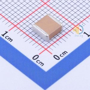 FP55X224K631EFG