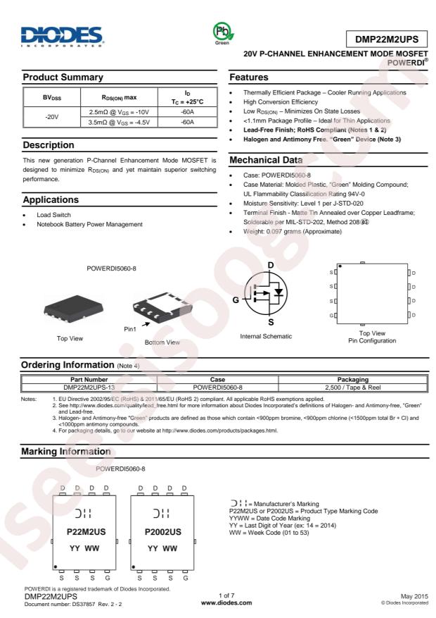 DMP22M2UPS-13