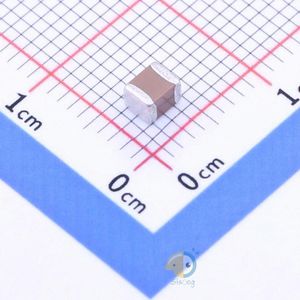 CS3225X5R476K160NRL
