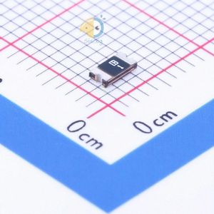 SMD1206B012TF
