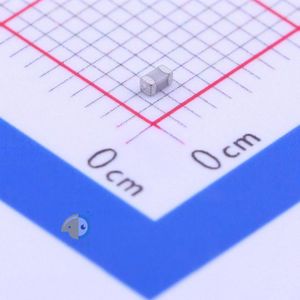 C0603N101J101T