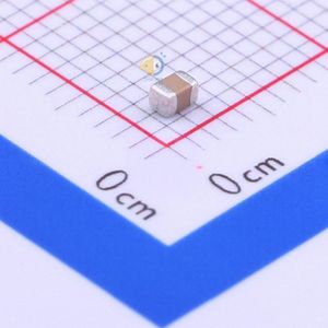 FM21X224K101ECG