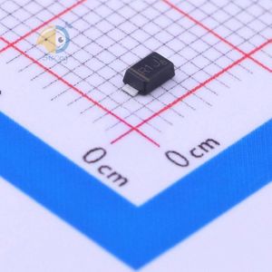 RS1006FL_R1_00001