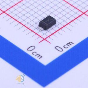 GS1010FL_R1_00001