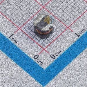 CD54N-100M