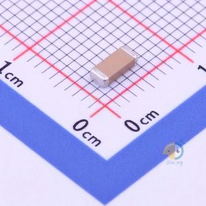 FV42X221K302ECG